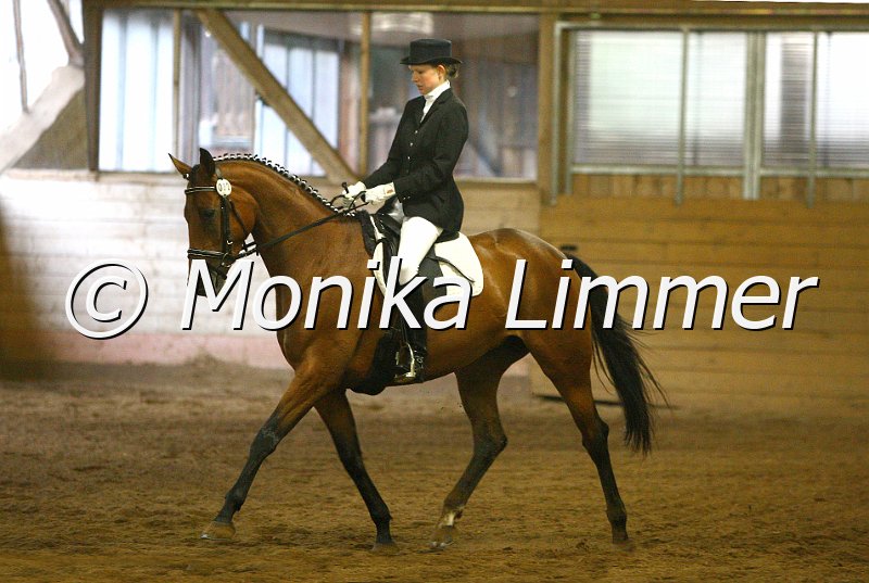 007L6758_Amber_Dresspferde A.JPG